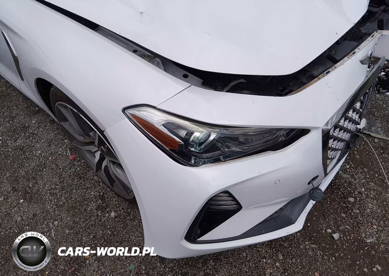 2019 GENESIS G70 VIN:KMTG44LA2KU012727 - 18