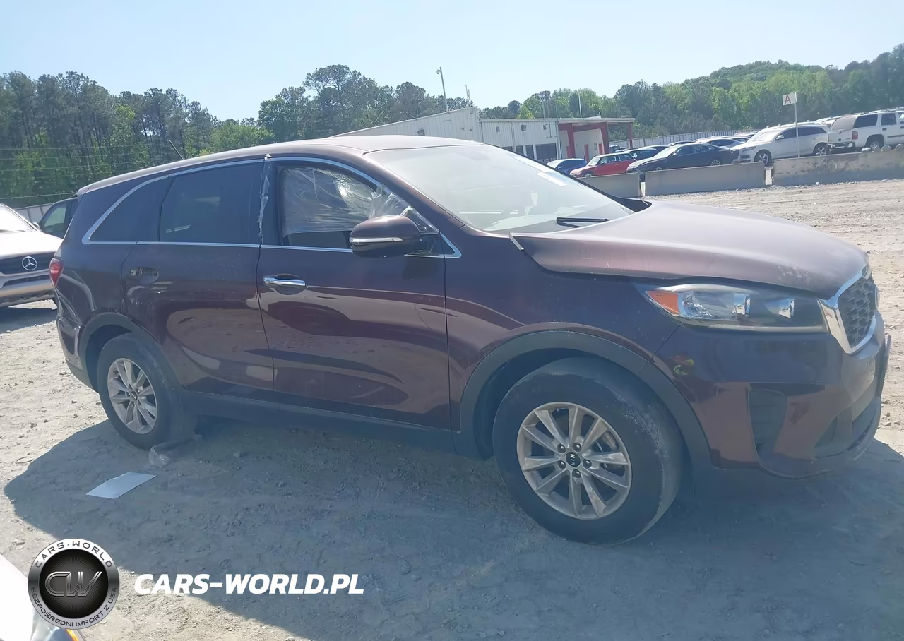 2019 Kia Sorento 2.4L Lx VIN:5XYPG4A31KG575425 - 13