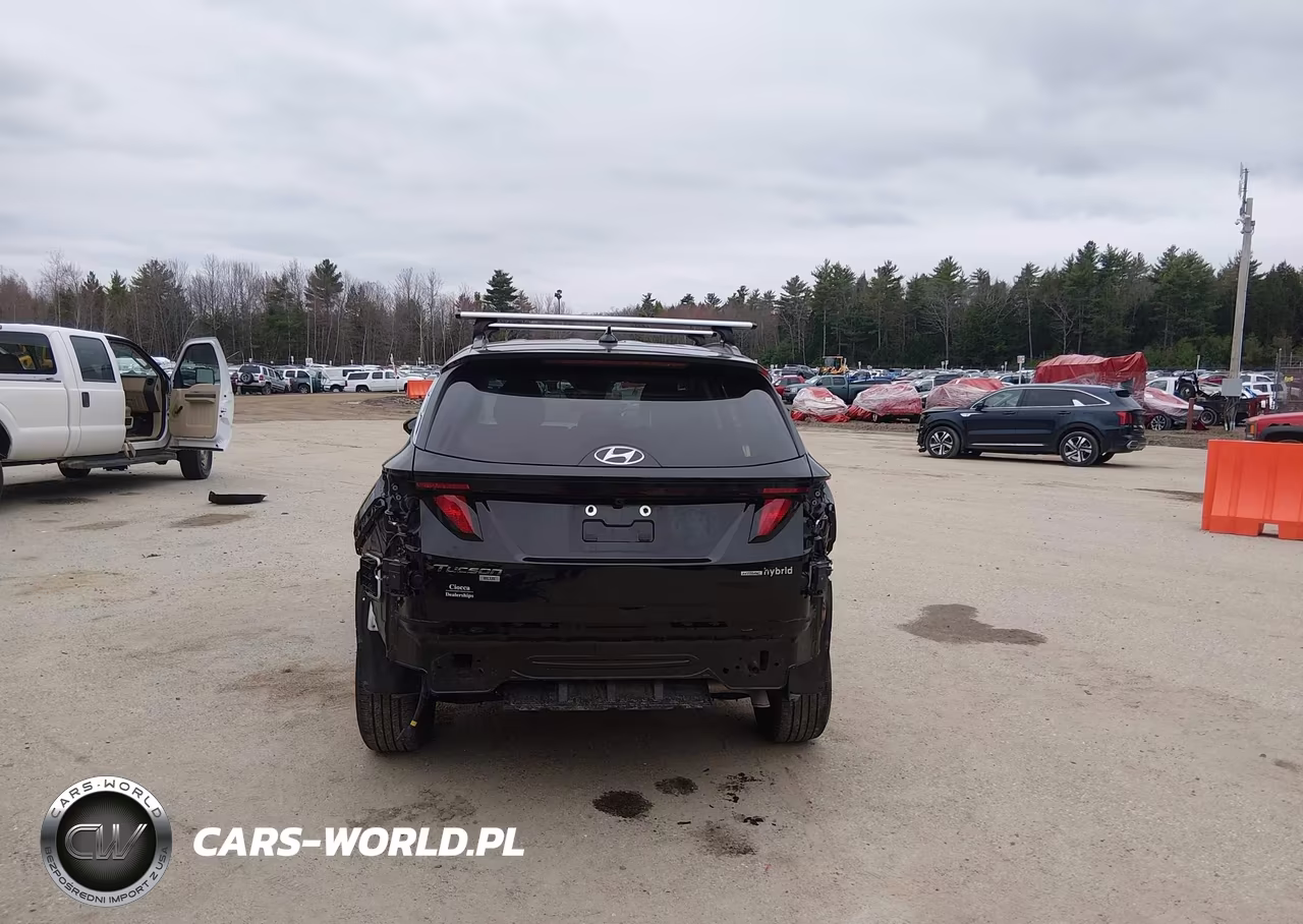 2024 Hyundai Tucson Hybrid Blue VIN:KM8JBCD12RU218073 - 17