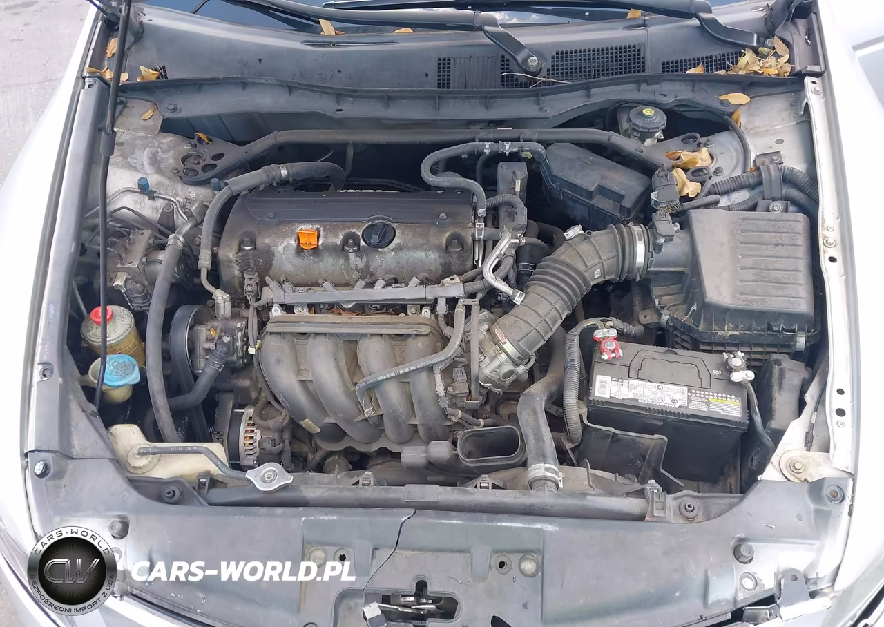 2010 Honda Accord 2.4 Ex VIN:1HGCP2F76AA113733 - 10