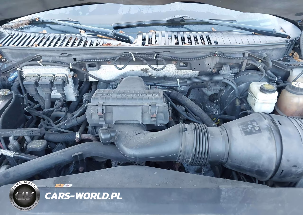 2006 Ford Expedition Eddie Bauer-King Ranch VIN:1FMFU18506LA90659 - 10