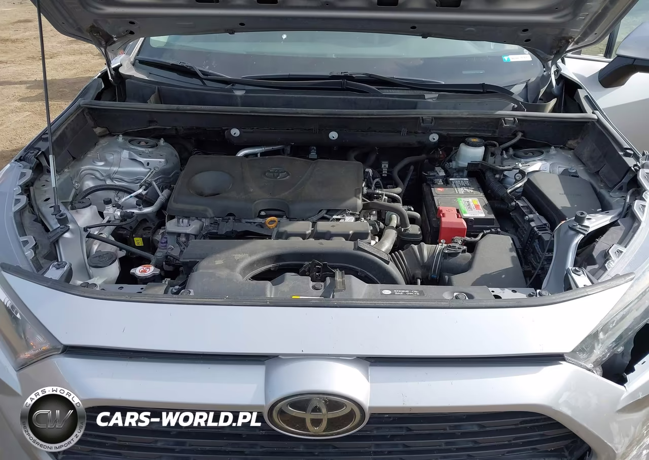 2019 Toyota Rav4 Le VIN:2T3G1RFV7KW044661 - 10