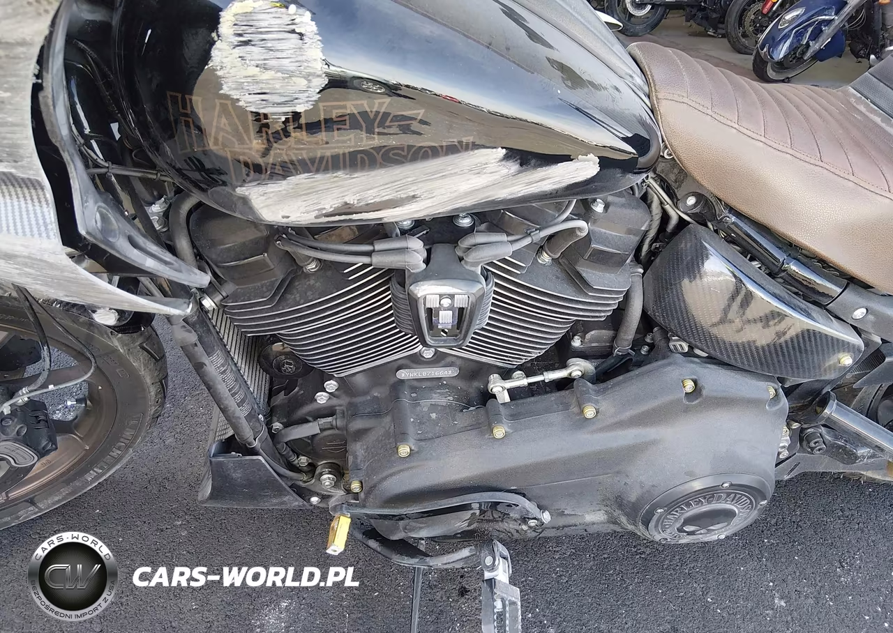 2020 Harley-Davidson Fxlrs VIN:1HD1YWK10LB071664 - 9