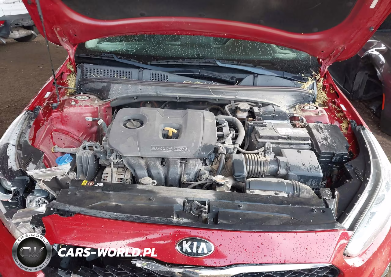 2021 Kia Forte Lxs VIN:3KPF24AD6ME268741 - 10