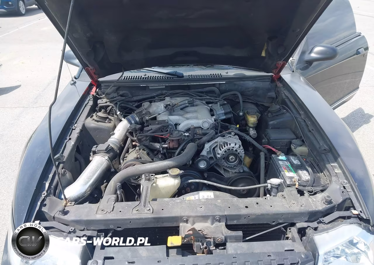 2001 Ford Mustang VIN:1FAFP40481F256861 - 10
