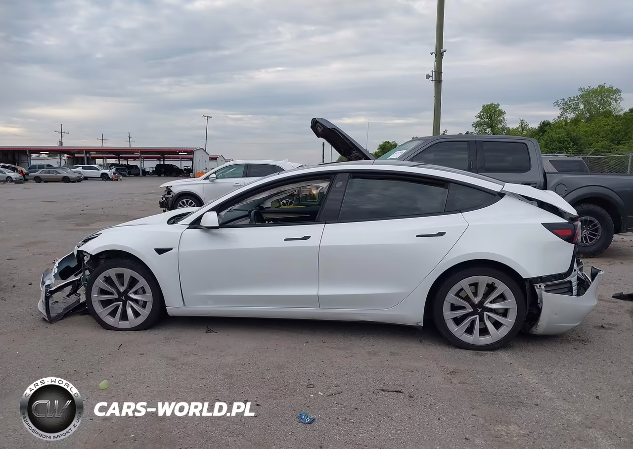 2023 Tesla Model 3 Rear-Wheel Drive VIN:5YJ3E1EA1PF438382 - 14