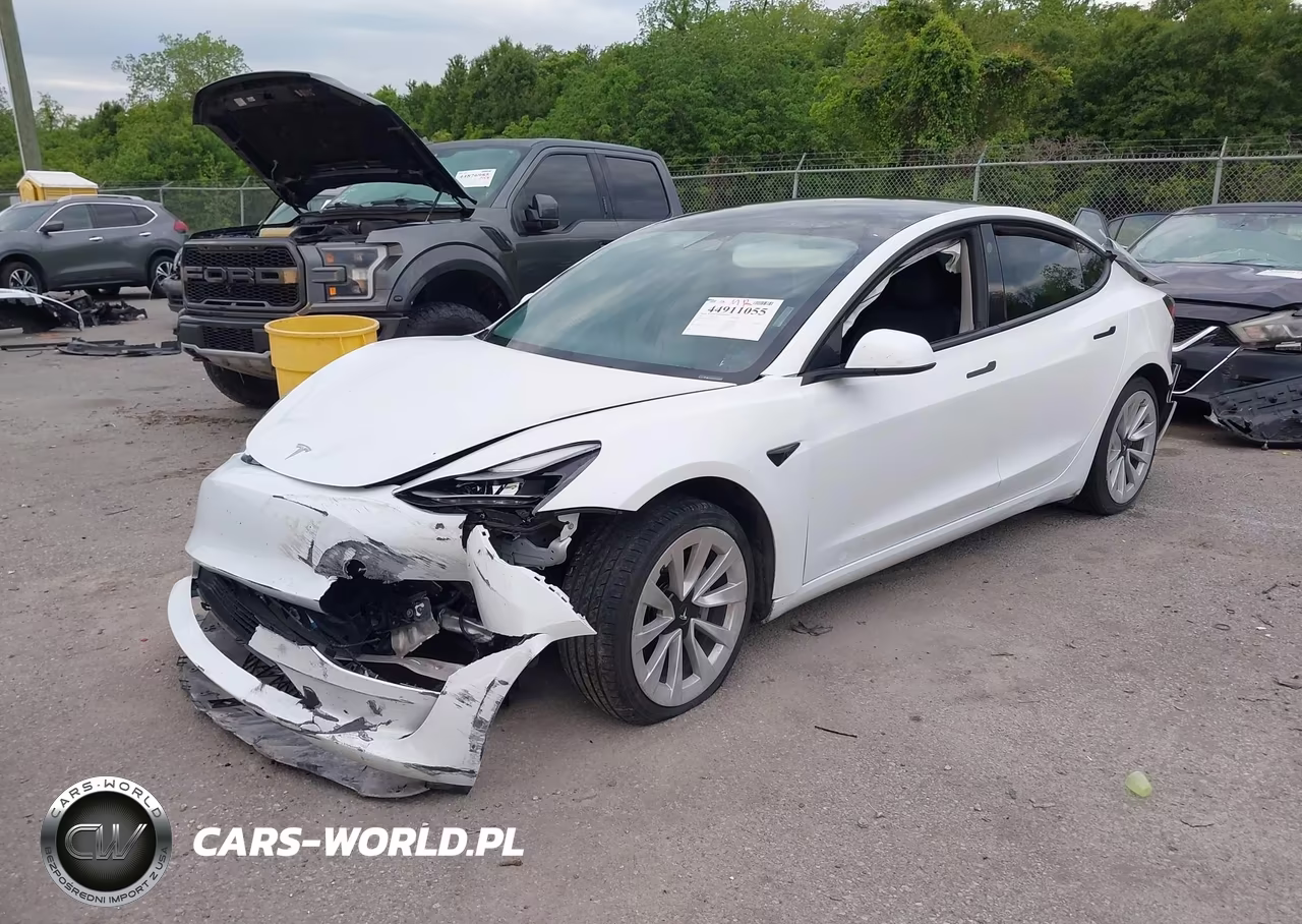 2023 Tesla Model 3 Rear-Wheel Drive VIN:5YJ3E1EA1PF438382 - 2