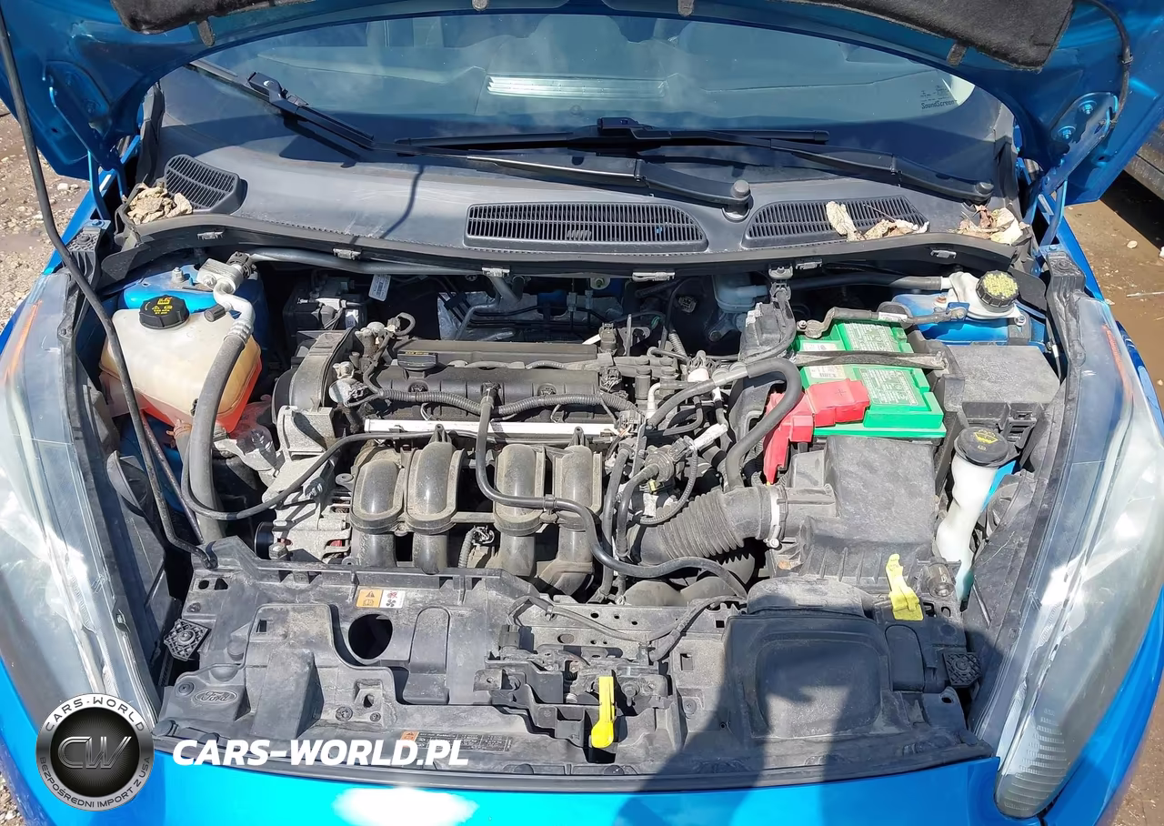 2015 Ford Fiesta Se VIN:3FADP4BJ2FM163724 - 10