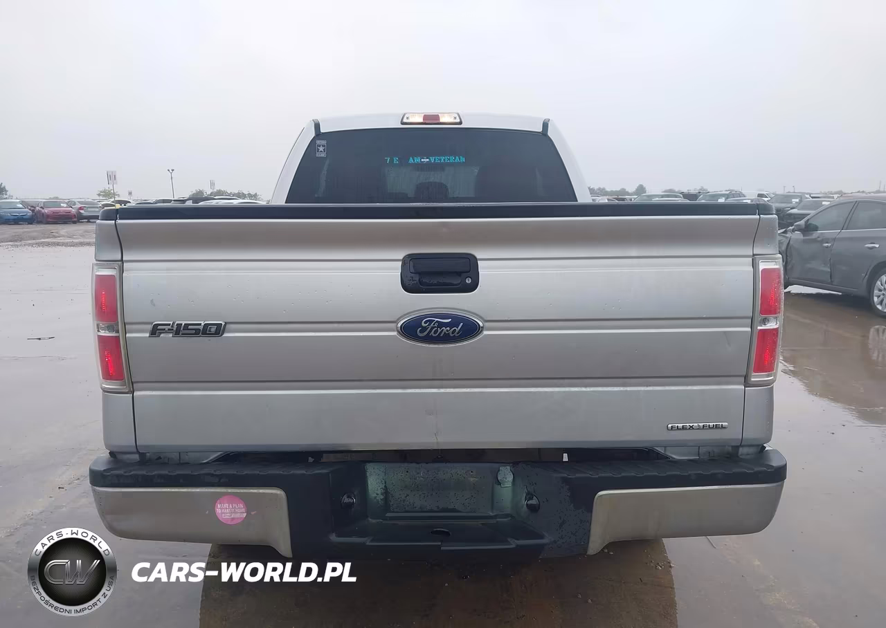2014 Ford F-150 Xlt VIN:1FTFX1CFXEKE45059 - 16