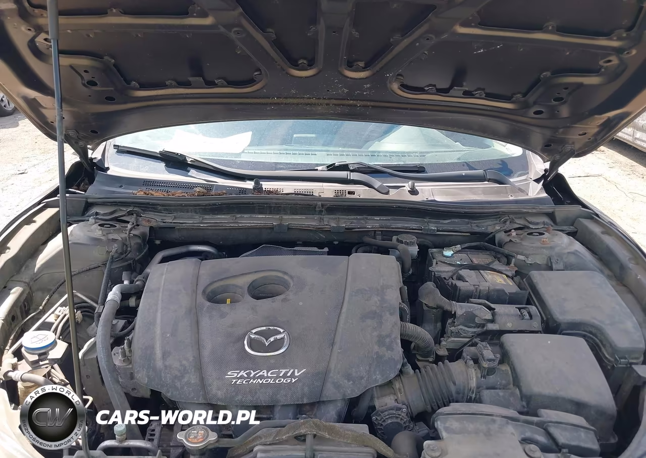 2014 Mazda Mazda3 I Sport VIN:JM1BM1U74E1148647 - 10