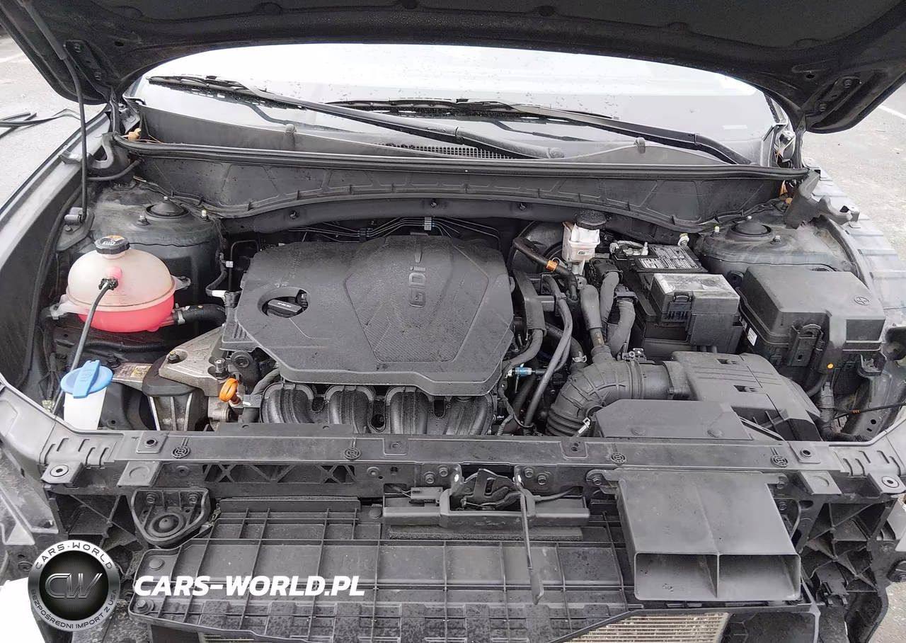 2024 Hyundai Tucson Sel VIN:5NMJBCDE0RH419789 - 10