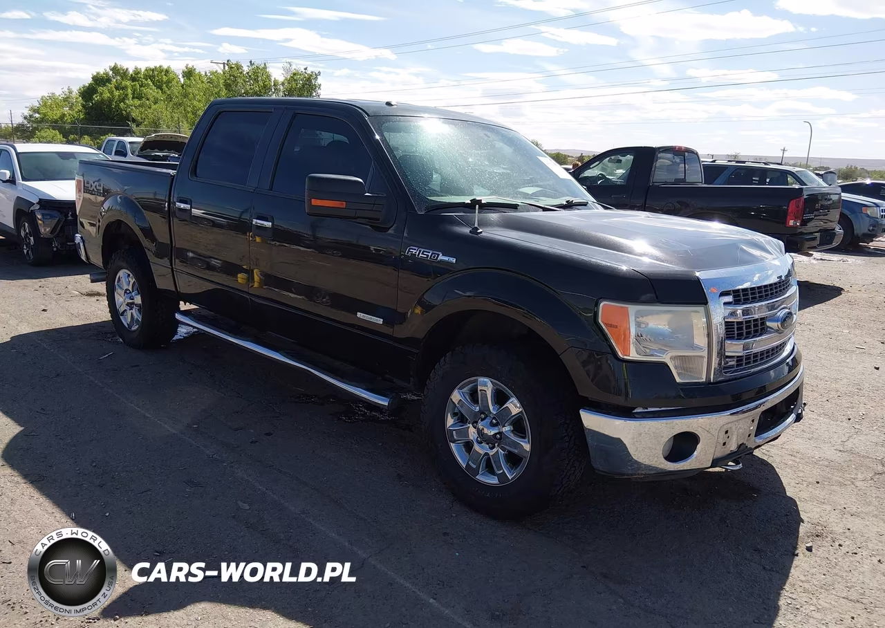 2013 Ford F-150 Xlt – zdjęcie 1 z 16