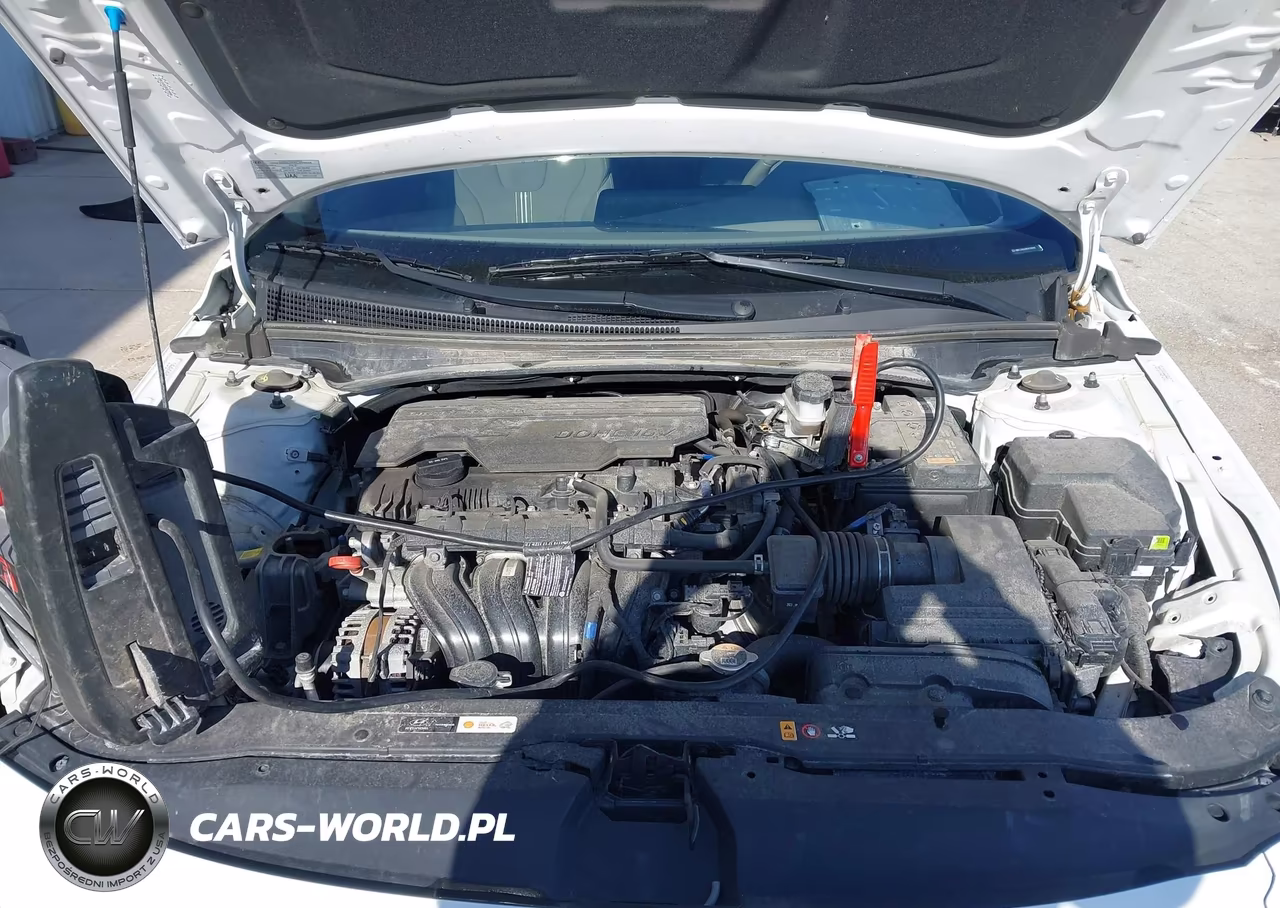 2024 Hyundai Elantra Sel VIN:KMHLS4DGXRU678990 - 10