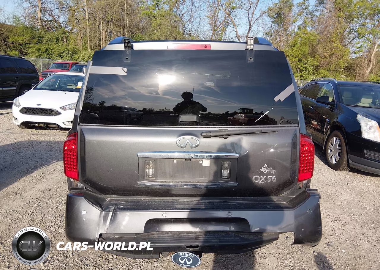 2010 Infiniti Qx56 VIN:5N3ZA0NC6AN907656 - 17