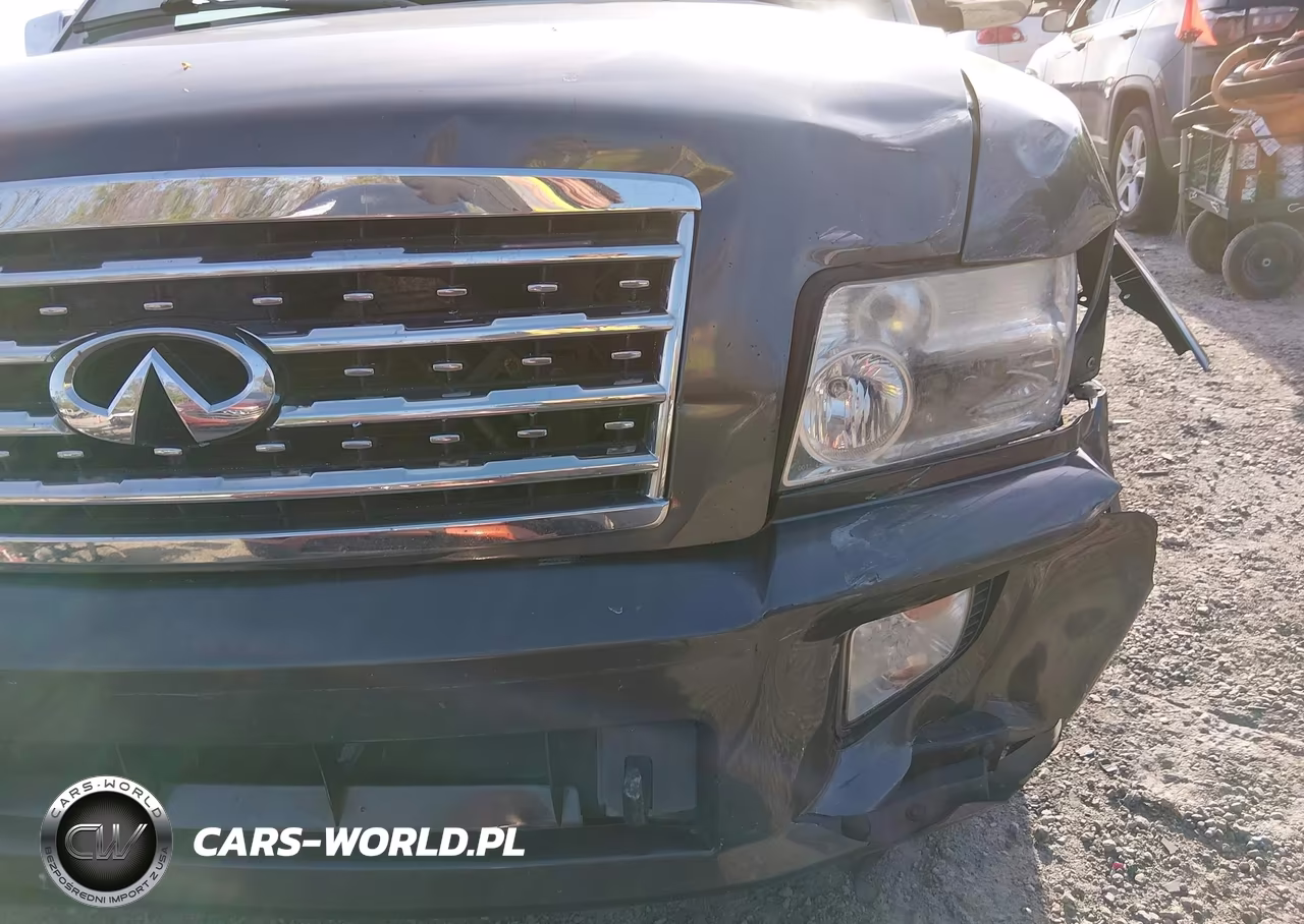 2010 Infiniti Qx56 VIN:5N3ZA0NC6AN907656 - 18