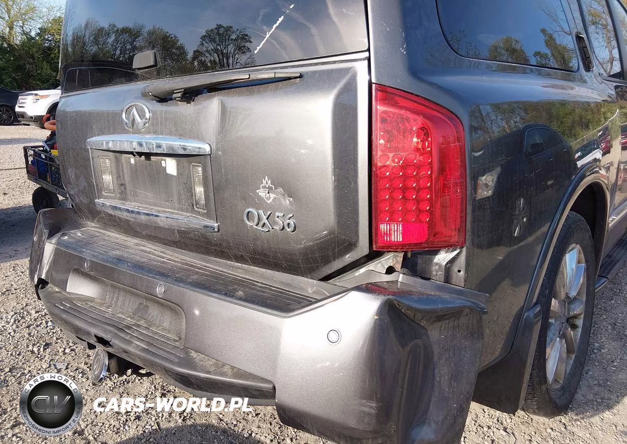2010 Infiniti Qx56 VIN:5N3ZA0NC6AN907656 - 20