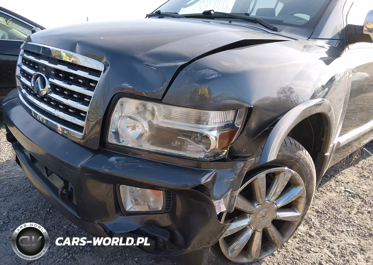 2010 Infiniti Qx56 VIN:5N3ZA0NC6AN907656 - 6
