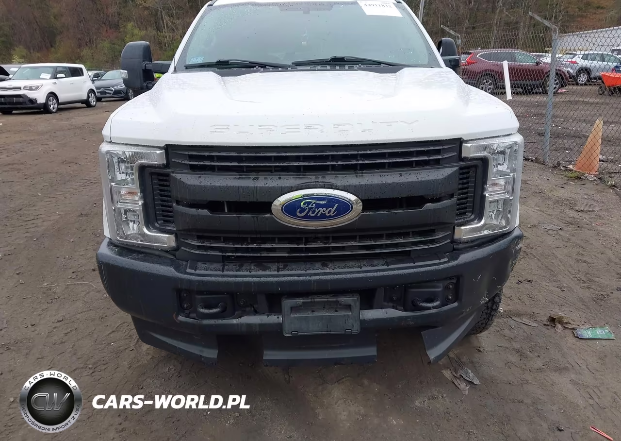 2019 FORD F250 SUPER DUTY VIN:1FT7X2B66KEG79723 - 12