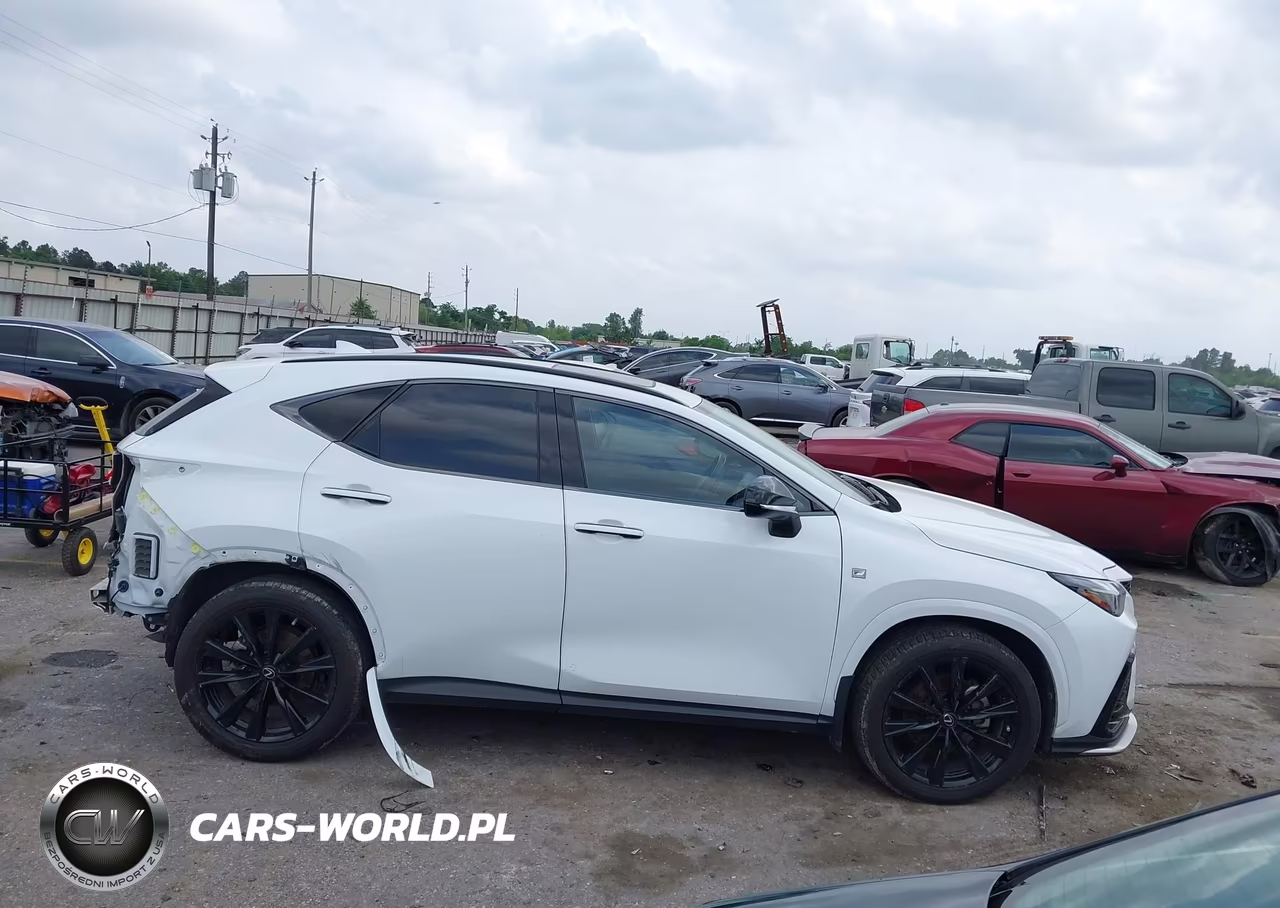 2022 Lexus Nx 350 F Sport Handling VIN:JTJKGCEZ5N5002394 - 13