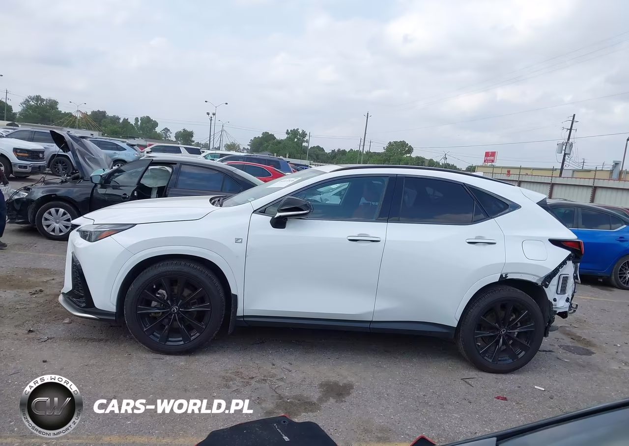 2022 Lexus Nx 350 F Sport Handling VIN:JTJKGCEZ5N5002394 - 14