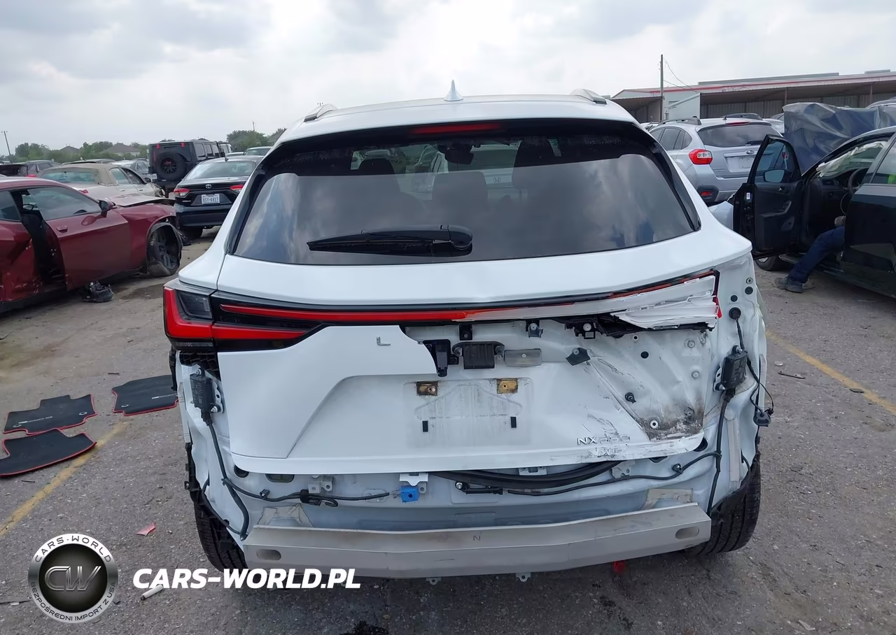 2022 Lexus Nx 350 F Sport Handling VIN:JTJKGCEZ5N5002394 - 16