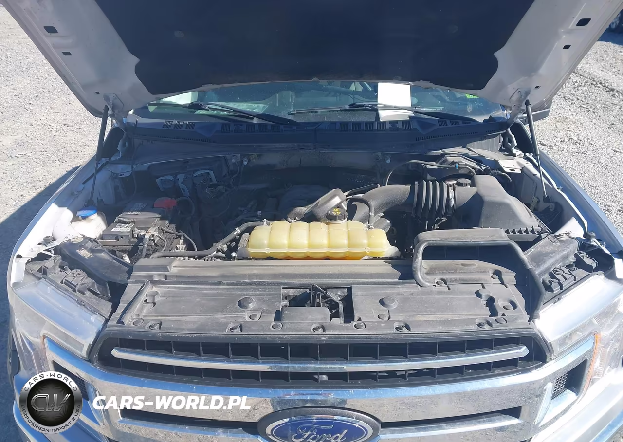 2020 Ford F-150 Xlt VIN:1FTEW1E53LFA00607 - 10