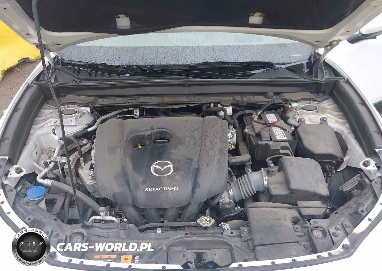 2020 Mazda Cx-30 Premium Package VIN:3MVDMBEM7LM124540 - 10