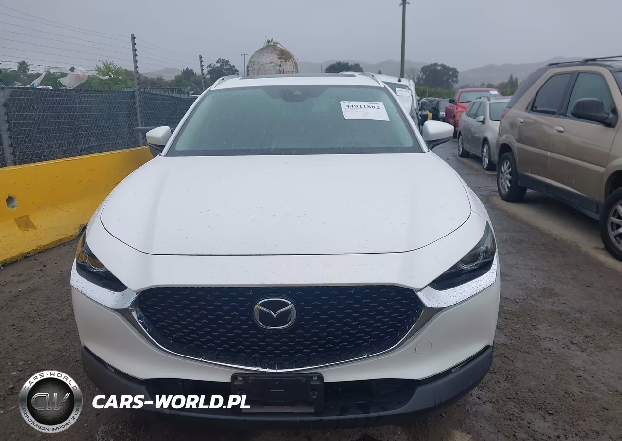 2020 Mazda Cx-30 Premium Package VIN:3MVDMBEM7LM124540 - 12