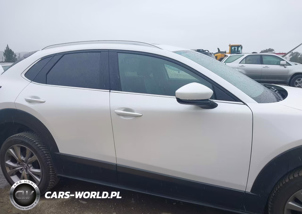 2020 Mazda Cx-30 Premium Package VIN:3MVDMBEM7LM124540 - 13