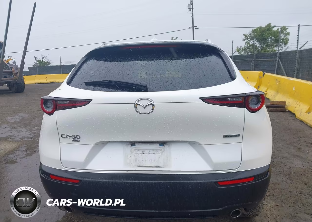 2020 Mazda Cx-30 Premium Package VIN:3MVDMBEM7LM124540 - 16
