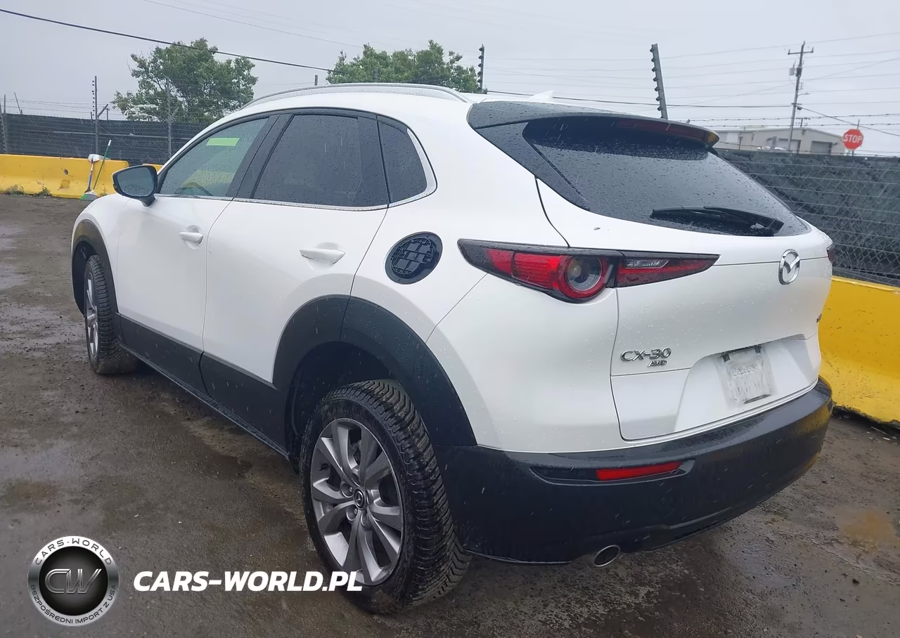2020 Mazda Cx-30 Premium Package VIN:3MVDMBEM7LM124540 - 3