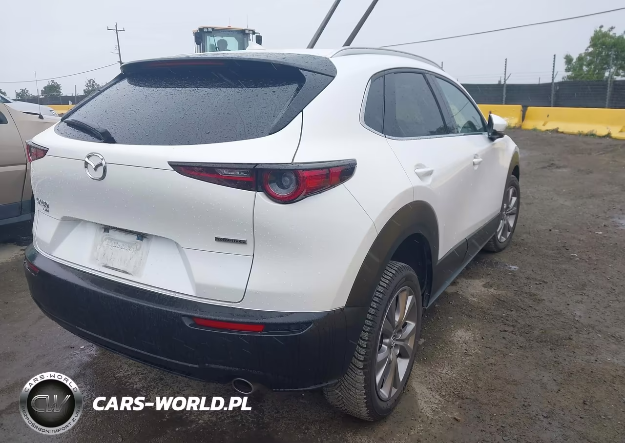 2020 Mazda Cx-30 Premium Package VIN:3MVDMBEM7LM124540 - 4