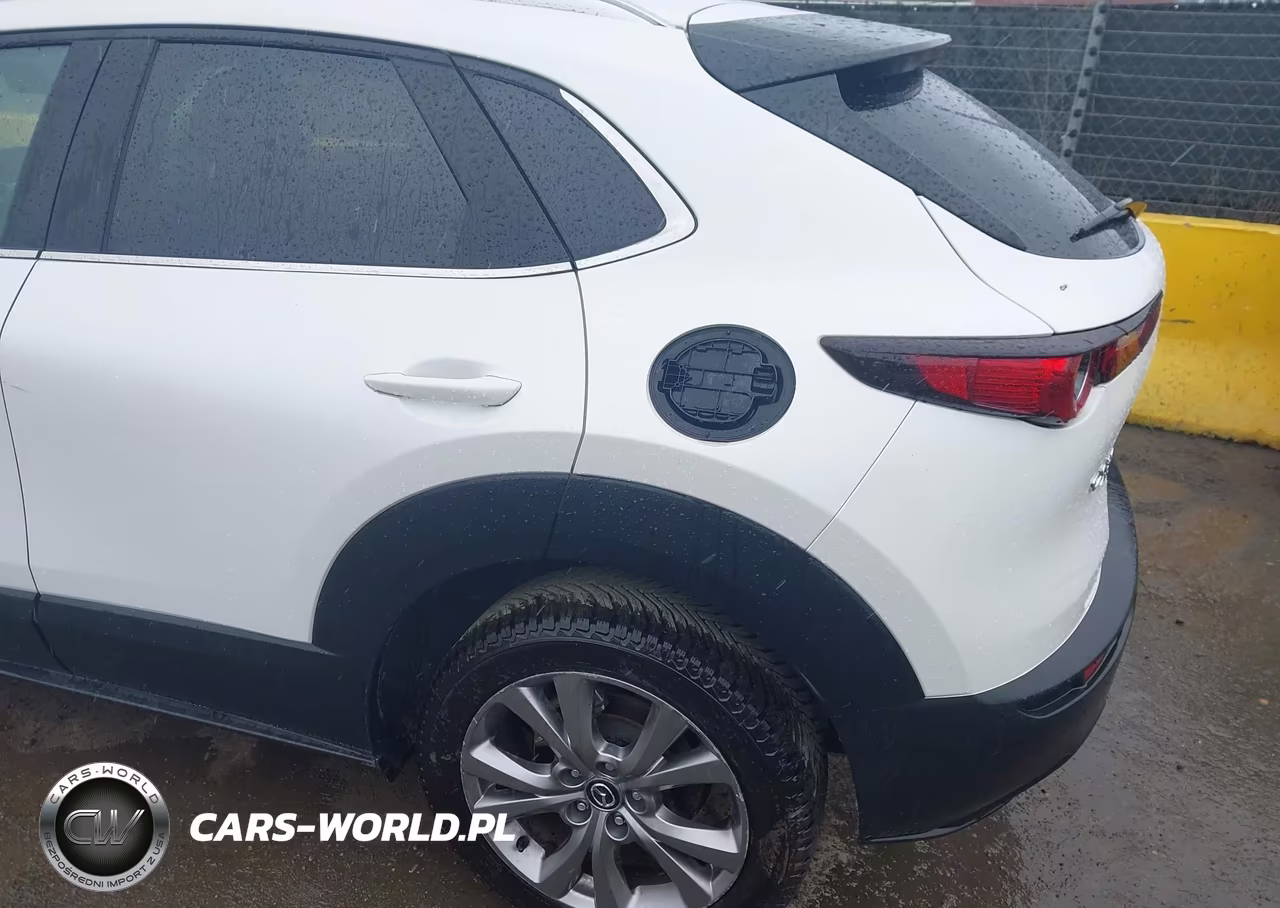 2020 Mazda Cx-30 Premium Package VIN:3MVDMBEM7LM124540 - 6