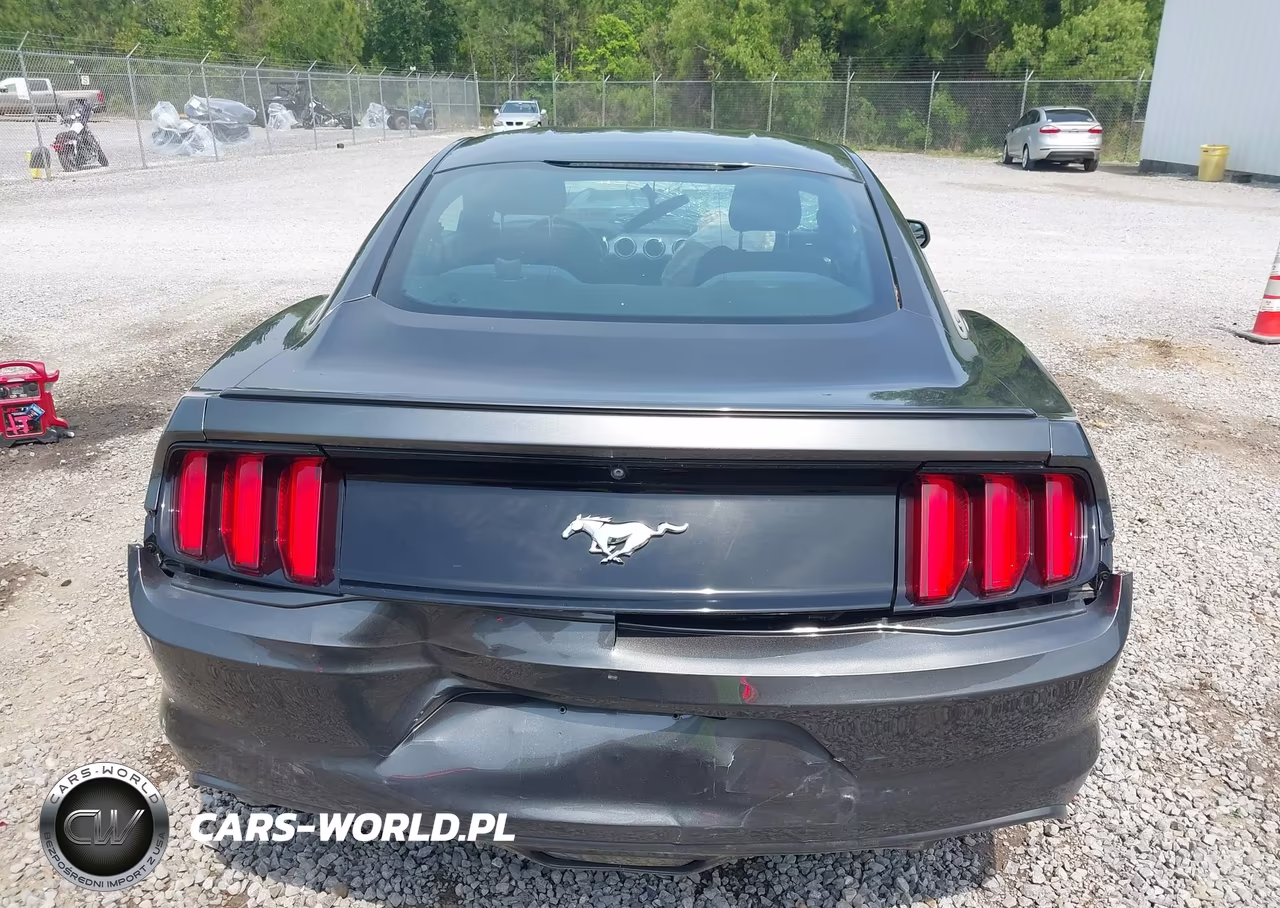 2016 Ford Mustang Ecoboost VIN:1FA6P8TH0G5271651 - 16