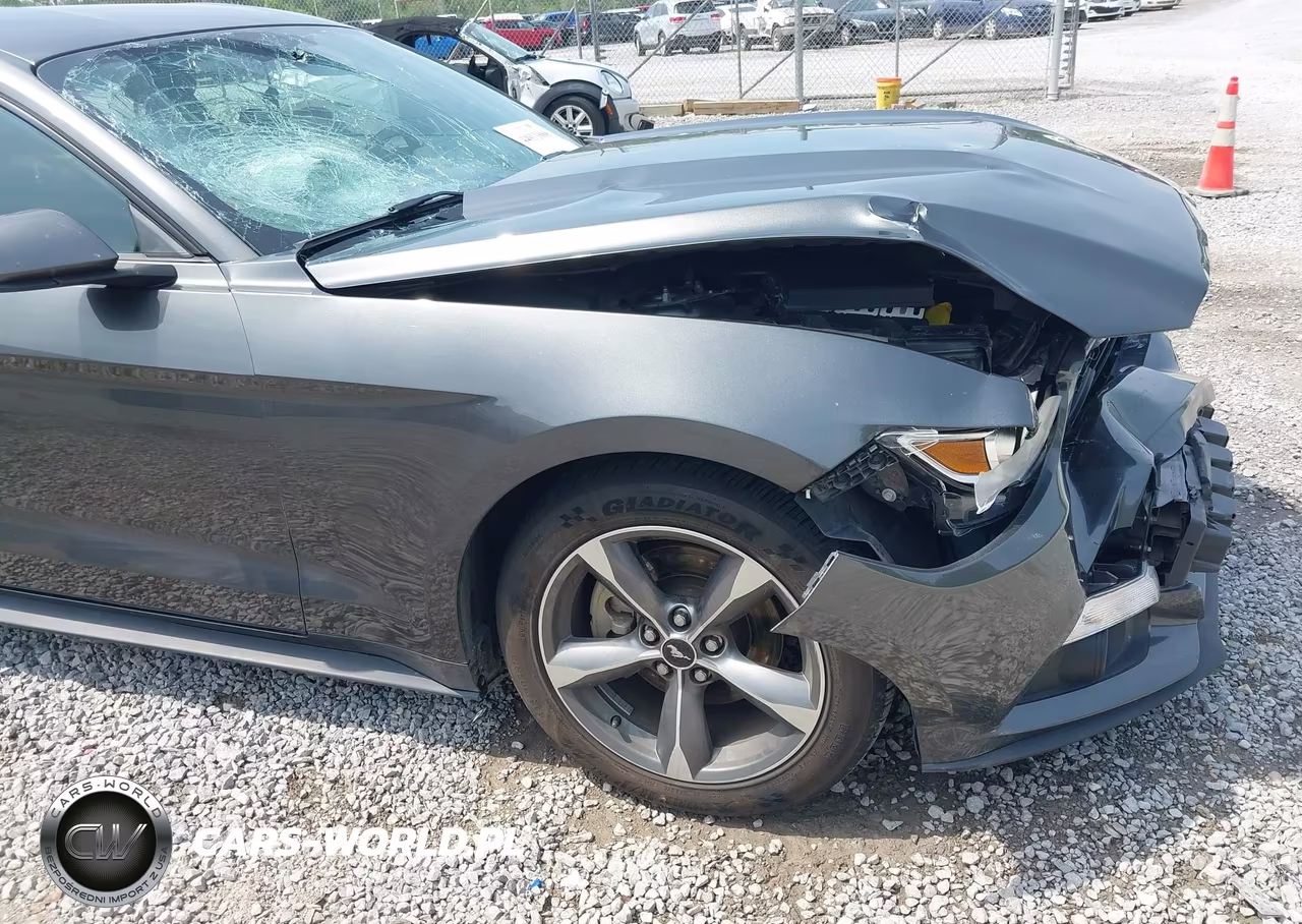 2016 Ford Mustang Ecoboost VIN:1FA6P8TH0G5271651 - 17