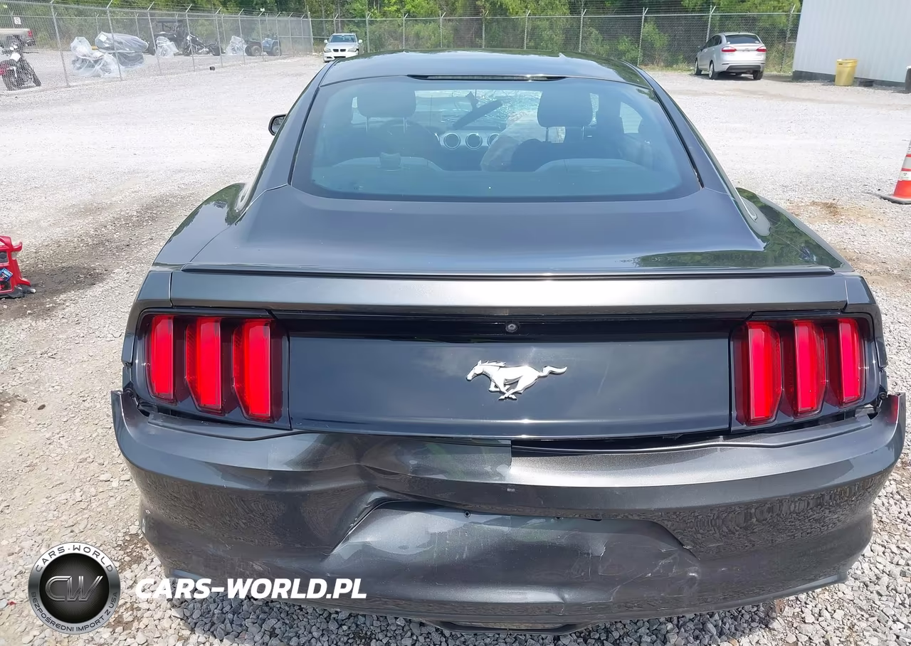 2016 Ford Mustang Ecoboost VIN:1FA6P8TH0G5271651 - 19