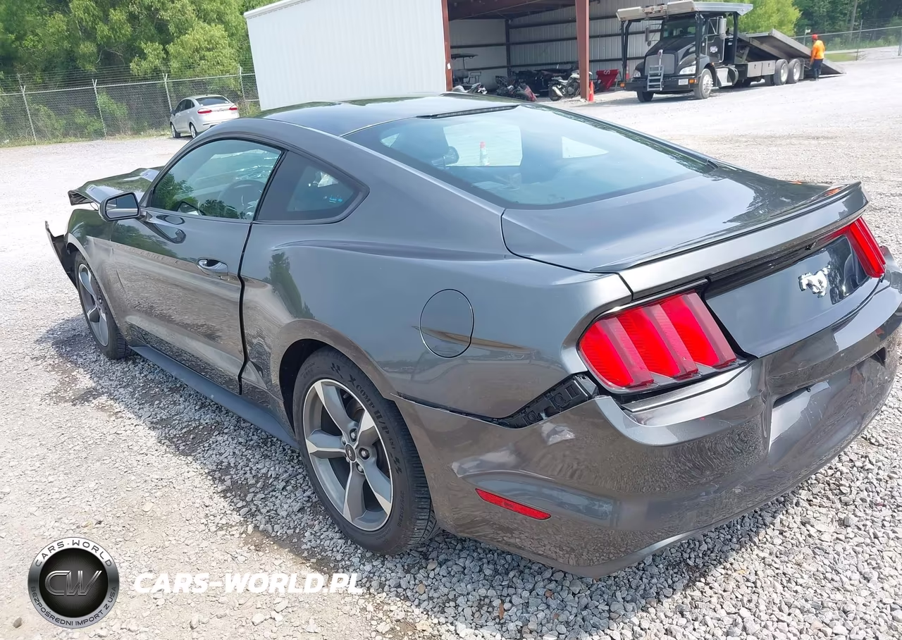 2016 Ford Mustang Ecoboost VIN:1FA6P8TH0G5271651 - 3
