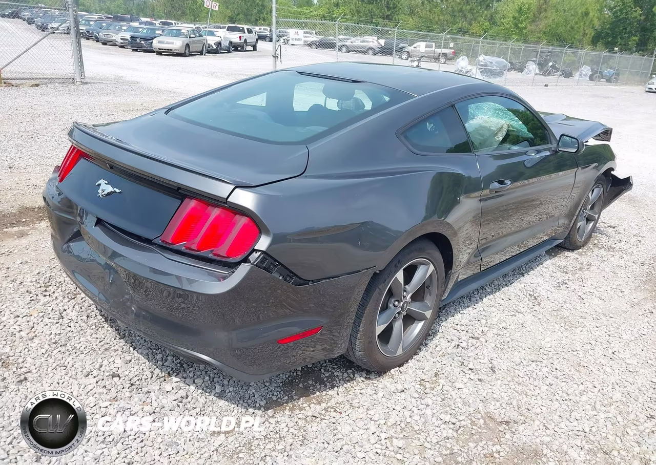 2016 Ford Mustang Ecoboost VIN:1FA6P8TH0G5271651 - 4