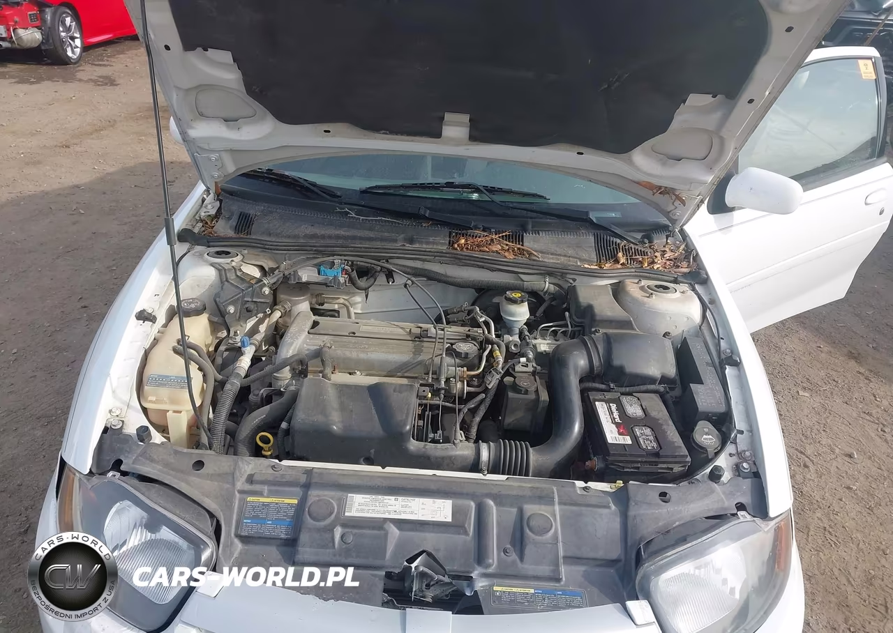 2004 Chevrolet Cavalier Ls Sport VIN:1G1JH12F347163090 - 10