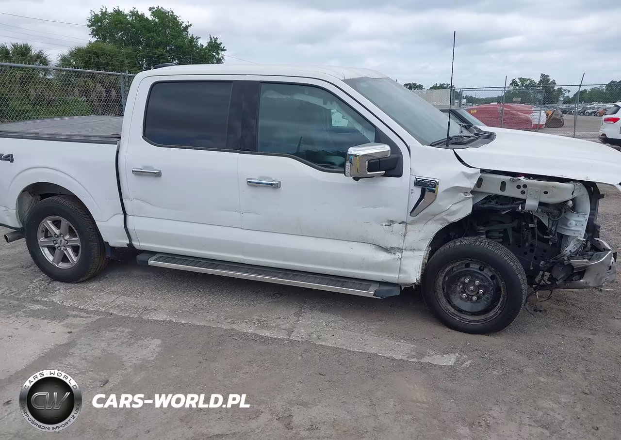 2024 Ford F-150 Xlt VIN:1FTEW3LP3RKF48638 - 17