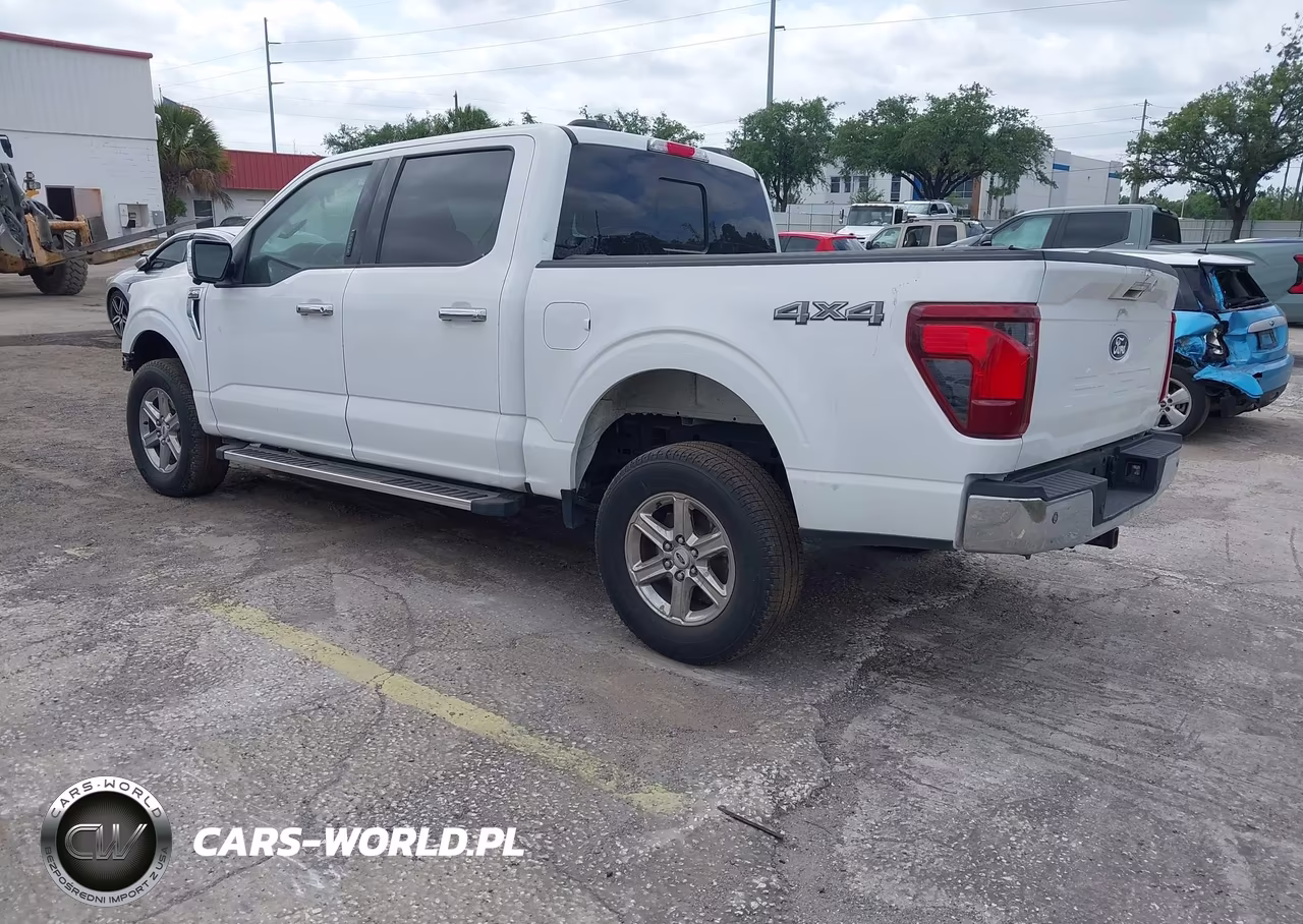 2024 Ford F-150 Xlt VIN:1FTEW3LP3RKF48638 - 3