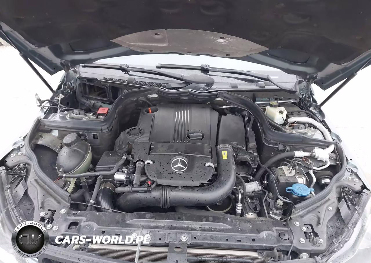 2012 Mercedes-Benz C 250 Luxury-Sport VIN:WDDGF4HB3CA598437 - 10