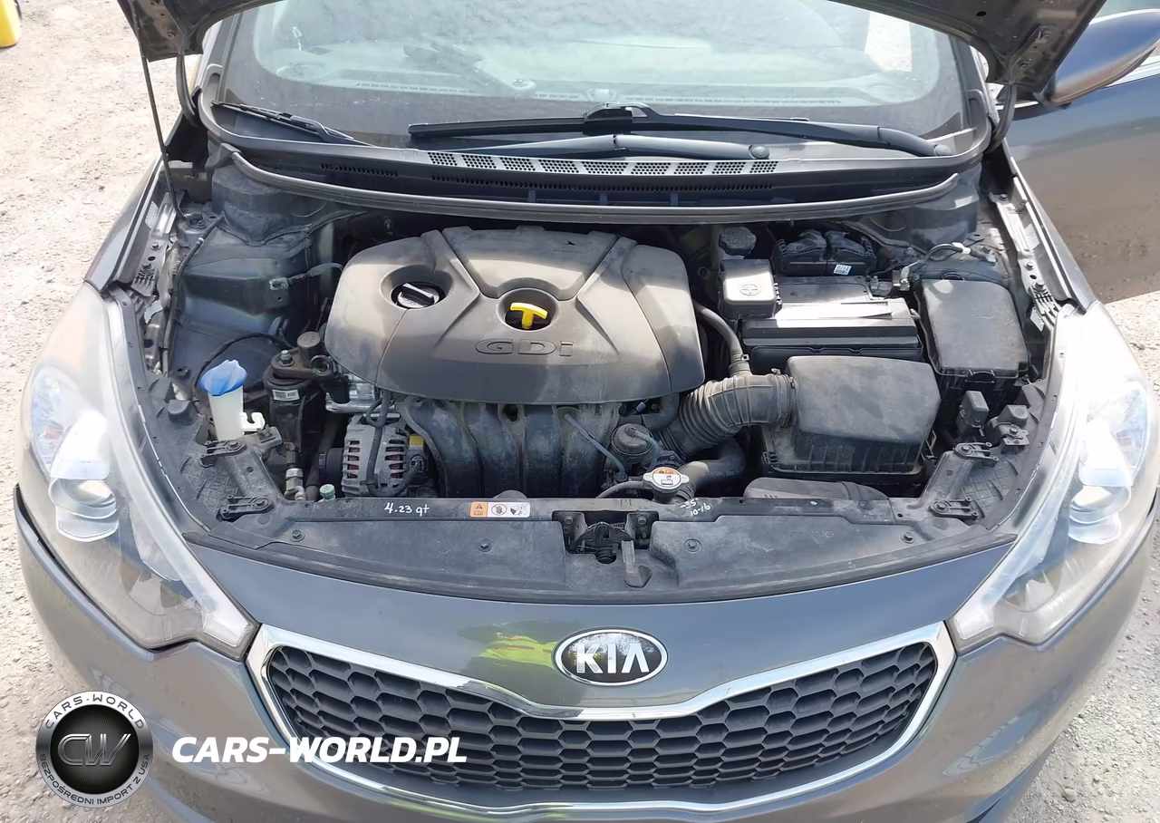 2014 Kia Forte Ex VIN:KNAFZ4A82E5066438 - 10