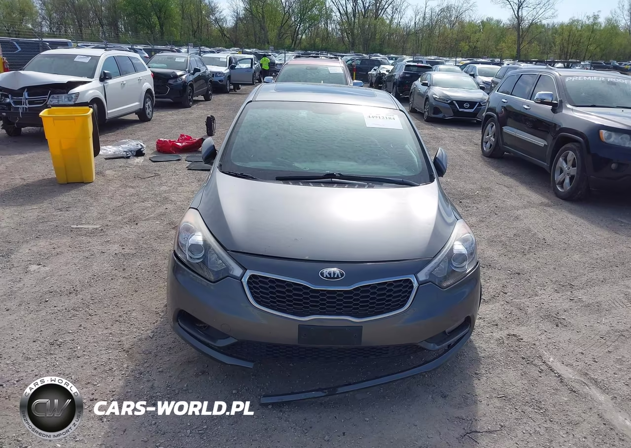 2014 Kia Forte Ex VIN:KNAFZ4A82E5066438 - 13