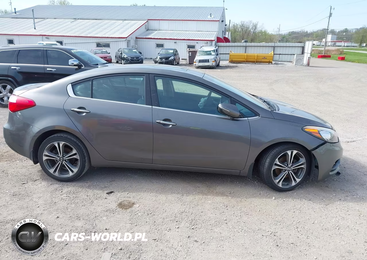 2014 Kia Forte Ex VIN:KNAFZ4A82E5066438 - 14