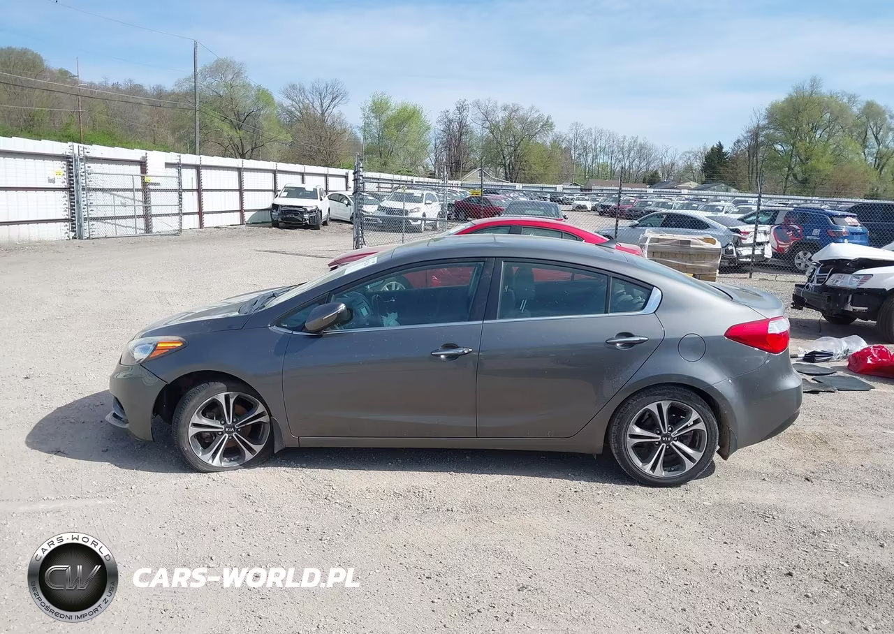 2014 Kia Forte Ex VIN:KNAFZ4A82E5066438 - 15