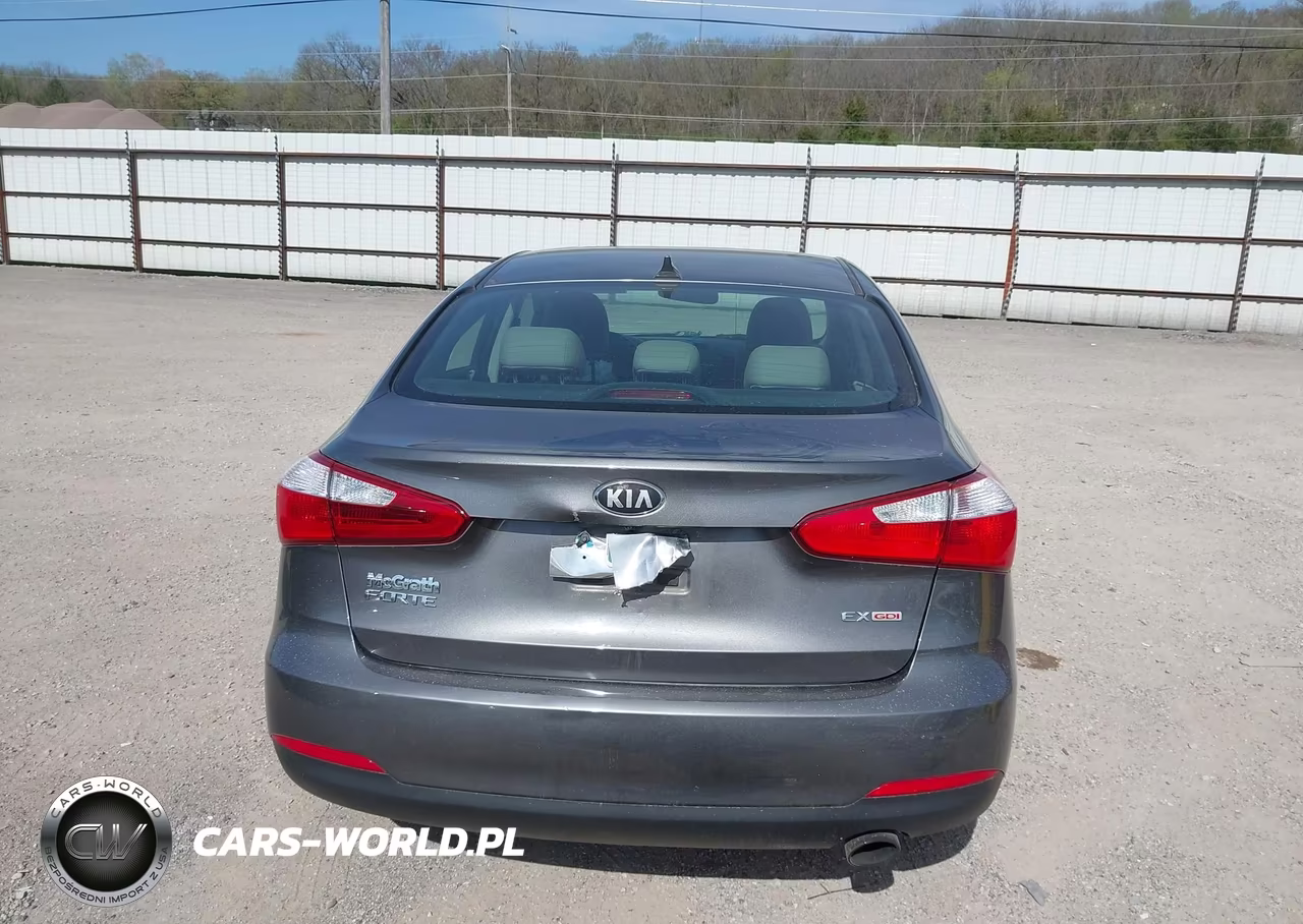 2014 Kia Forte Ex VIN:KNAFZ4A82E5066438 - 17