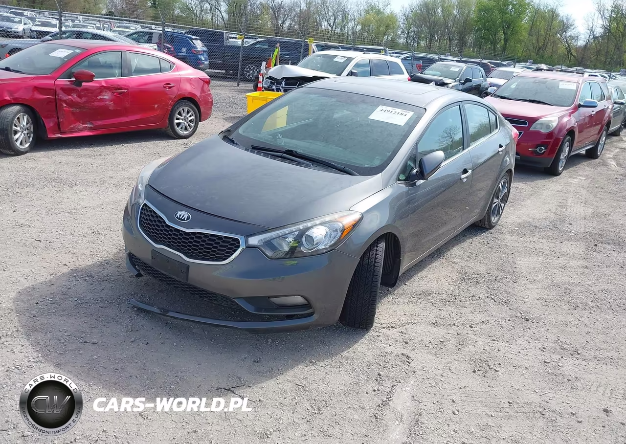 2014 Kia Forte Ex VIN:KNAFZ4A82E5066438 - 2