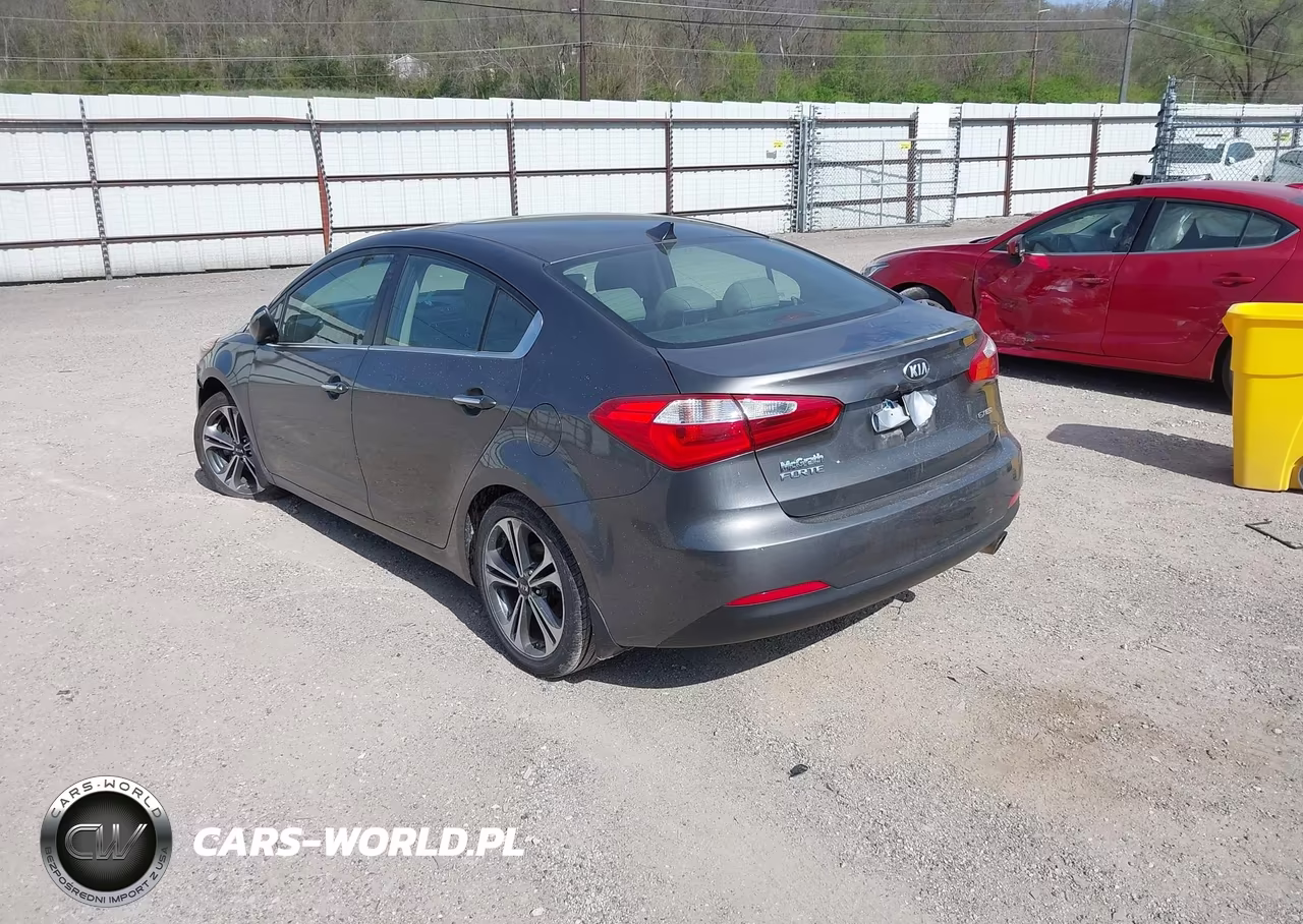 2014 Kia Forte Ex VIN:KNAFZ4A82E5066438 - 3