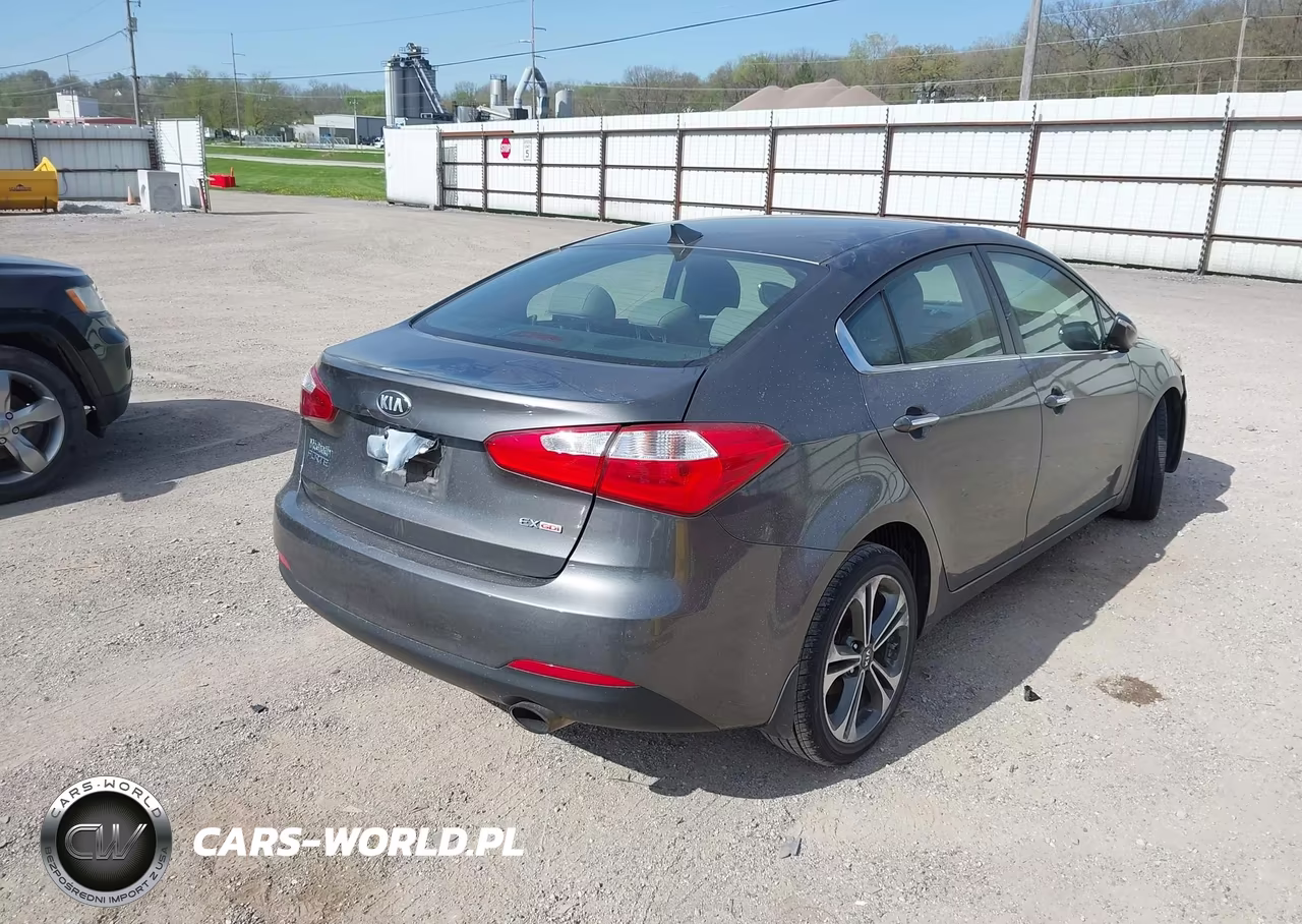 2014 Kia Forte Ex VIN:KNAFZ4A82E5066438 - 4